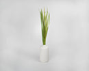 Tall green dried snake leaves arranged in a white vase, natural and bulk wholesale foliage.