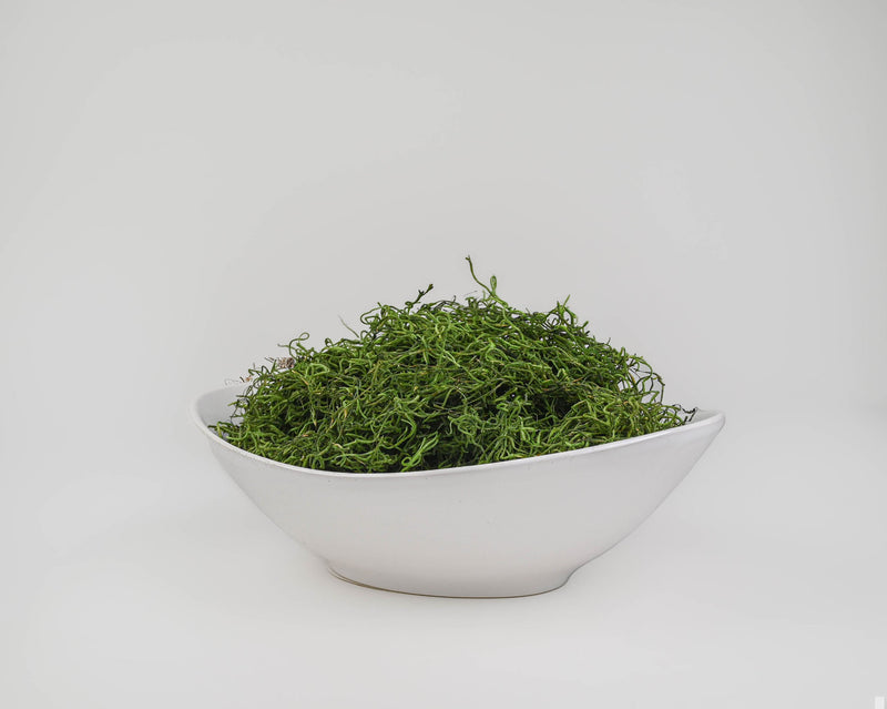 Dried Spanish Moss | Color Options Available