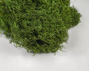 Bulk dried natural Spanish moss in vibrant green color with fine, curly texture.