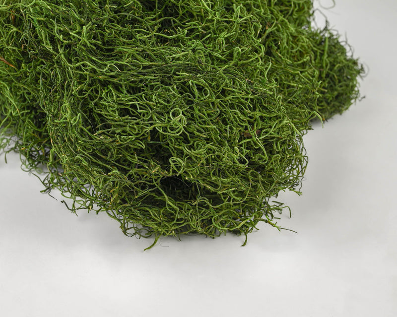 Dried Spanish Moss | Color Options Available