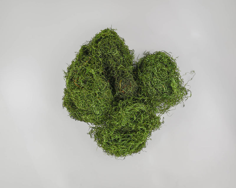 Dried Moss Assortment - Single Bag by Dried Decor