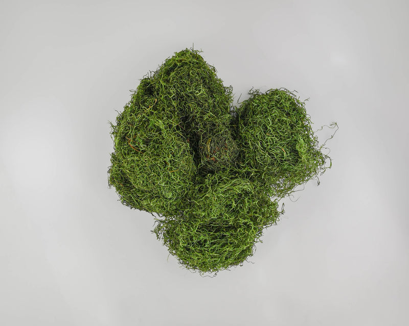 Dried Natural Mood Moss Wreath - 20 inch