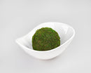 Natural dried moss ball in bright green, placed in a white ceramic bowl, wholesale bulk decor.