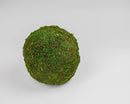 Natural dried moss ball in vibrant green, round decorative sphere for bulk wholesale use.