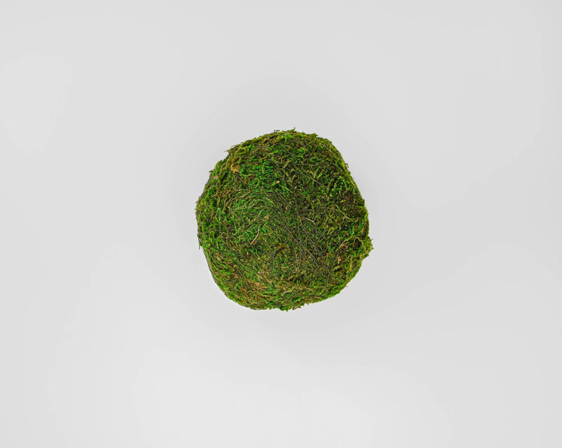 MOSS BALL - GREEN - 12 LARGE - PACKED 2