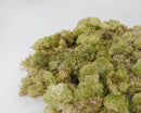 Bulk wholesale dried natural preserved reindeer moss in light green color, 12 bags case.