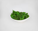 Bright green preserved reindeer moss in a white bowl, dried natural bulk for wholesale use.