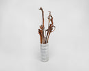 Dried natural Natraj branches with clear varnish in a white striped vase, bulk decorative stems.