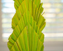 Bulk bundle of dried natural green cut spear palm fronds with textured layered leaves.