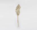 Dried natural spear palm fronds in bulk with beige tones and textured leaves.