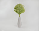 Natural dried sun palm leaf in a tall white ceramic vase, bulk wholesale decor.