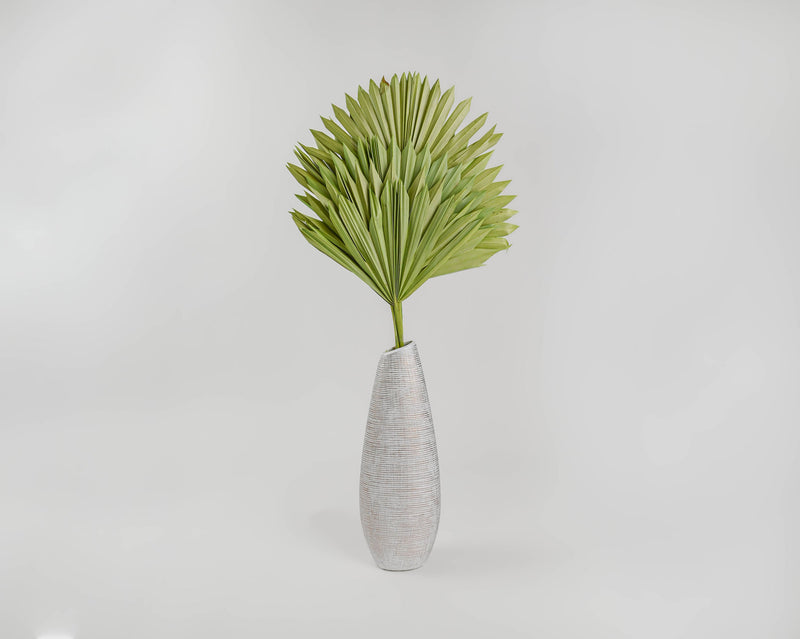 Dried Sun Palm Leaf Fans