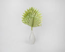 Single green dried sun palm leaf in white vase, natural bulk wholesale decor.