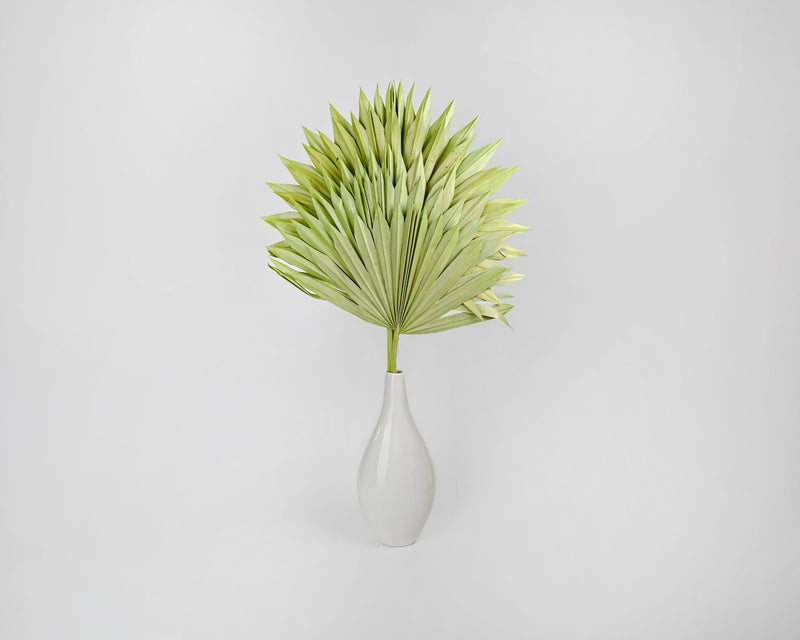 Dried Sun Palm Leaf Fans