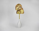 Burnt Sun Palm Fans | 24 Bunches | Color Options Available