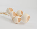 Bleached white dried natural bell cups with stems, bulk wholesale dried pods.