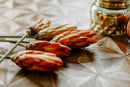 Dried natural Protea Repens bunch with red bracts arranged on wooden surface for wholesale bulk use.