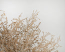 Gigantic dried natural tumbleweed with intricate branching, available for wholesale bulk purchase.