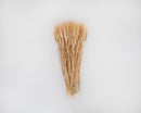 Natural dried blond wheat bunch with long stems, ideal for wholesale bulk decoration.