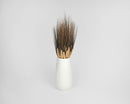 Dried natural Blackbeard wheat stalks with dark tips arranged in white vase, wholesale bulk decor.
