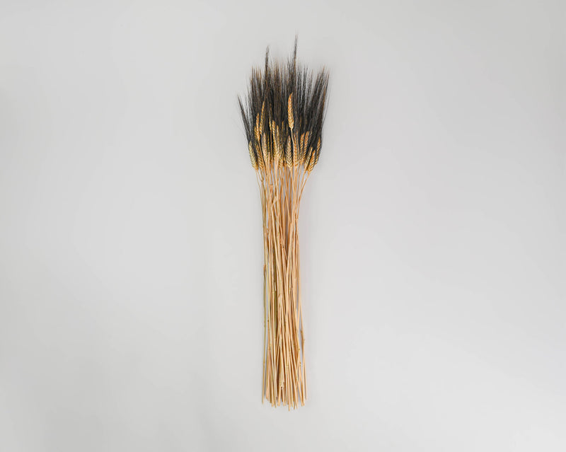Blackbeard Wheat Stacks, Small - Grande Size