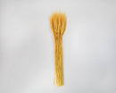 Bulk natural dried wheat stocks in vibrant yellow, arranged in a large decorative bunch.