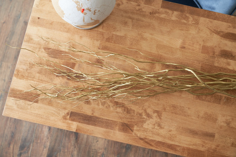 Gold Dried Curly Willow Branches (Long Stem)