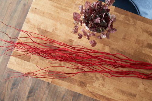 Red Curly Willow Branches (Long Stem)