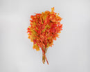 Bundle of dried natural autumn oak leaves in vibrant orange and yellow, bulk wholesale quantity.