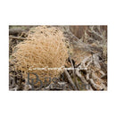 Dried natural giant western tumbleweed plant displayed for wholesale and bulk sale.