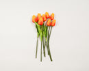 Bright orange dried tulip stems with green leaves bundled in a natural wholesale bulk set.