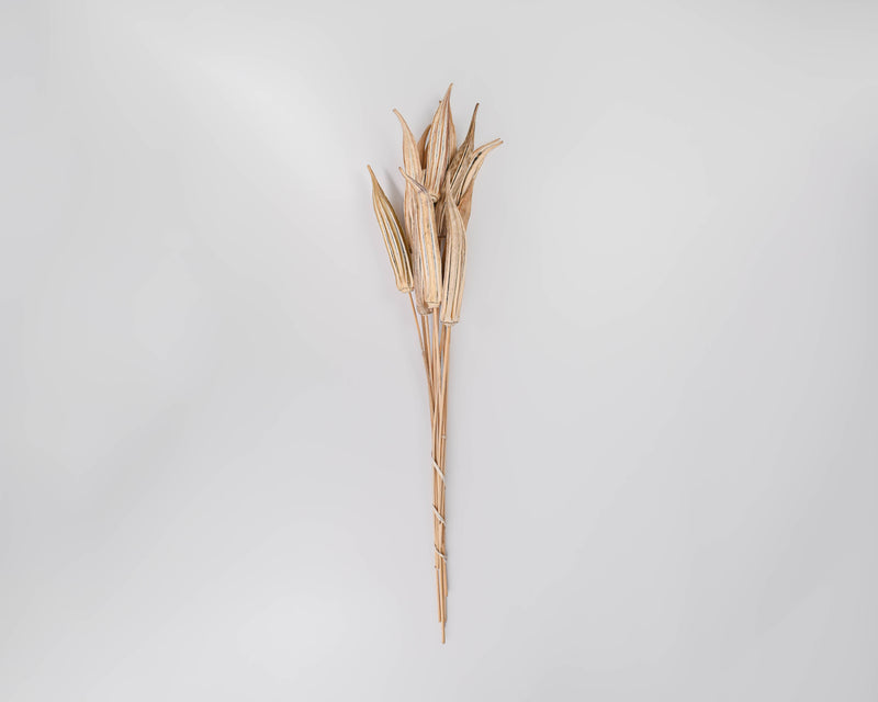 Okra Pods Stemmed - Natural