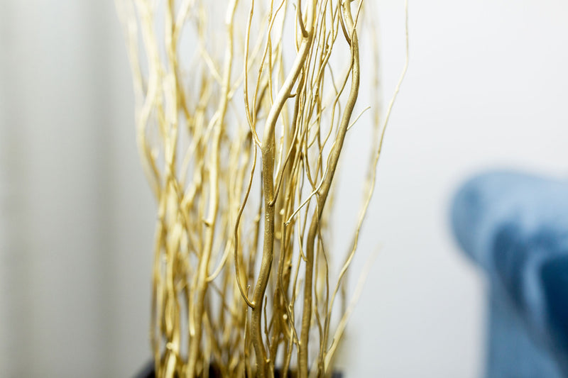 Gold Dried Curly Willow Branches (Long Stem)