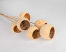 Natural dried bell cups with 16-inch stems in a bulk bundle for wholesale use.