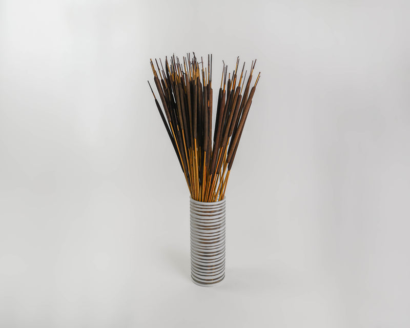 Dried Pencil Cattails