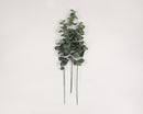 Set of three 29" dried eucalyptus sprays with green-gray natural leaves for wholesale bulk arrangements.