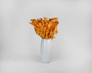 Bundle of dried natural orange mango oak leaves arranged in tall white ceramic vase, bulk wholesale display.