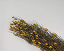 Bulk dried natural bell reed grass bunches with yellow seed heads and green stems.