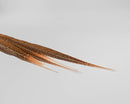 Dried natural ringneck pheasant feathers 16-18 inches in bulk wholesale set.