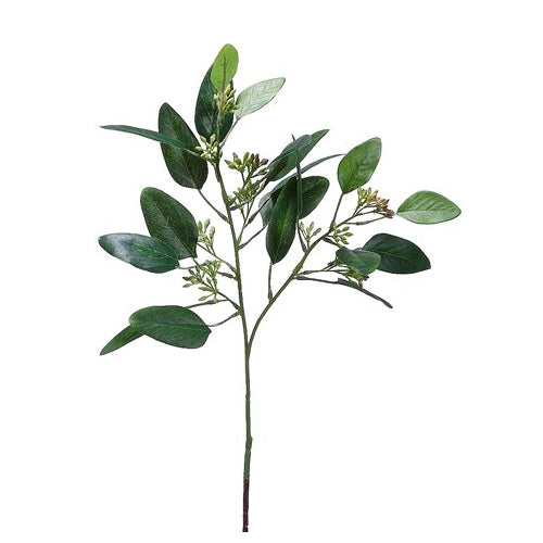 18″ Seeded Eucalyptus Spray  Green Burgundy (12 Stems)