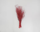 Bundle of dried natural Sweet Huck branches in vibrant fire red, wholesale bulk pack of 12.