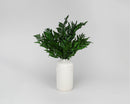 Bulk dried natural leatherleaf bunches arranged in a white ribbed vase, wholesale greenery display.