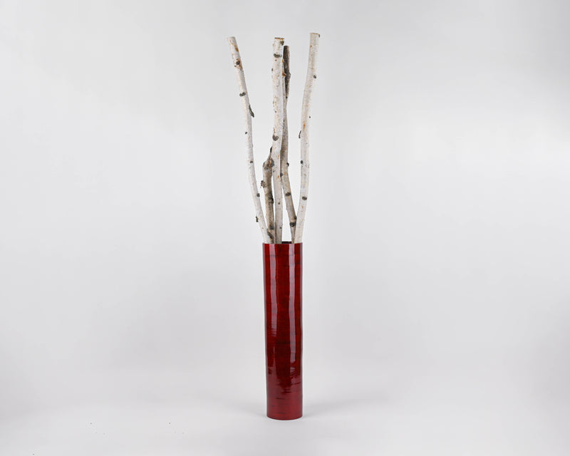 White Birch Poles For Sale - Decorative | Natural White Birch