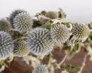 Bulk dried natural light blue globe thistle flower bunches with textured spiky heads.