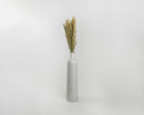 Light green dried canary grass bunch in tall white vase, natural wholesale bulk decor.