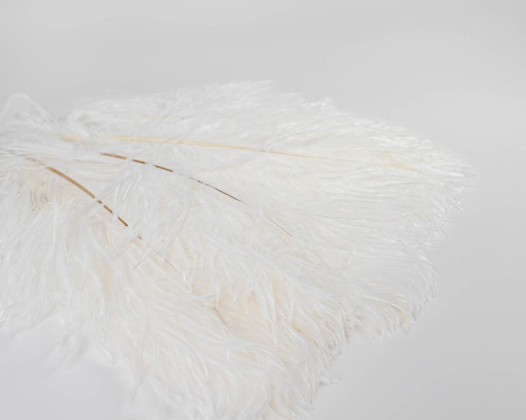 White Long Ostrich Wing Feathers Plume