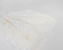 Bulk dried natural white ostrich feathers with delicate soft plumes for wholesale decor.