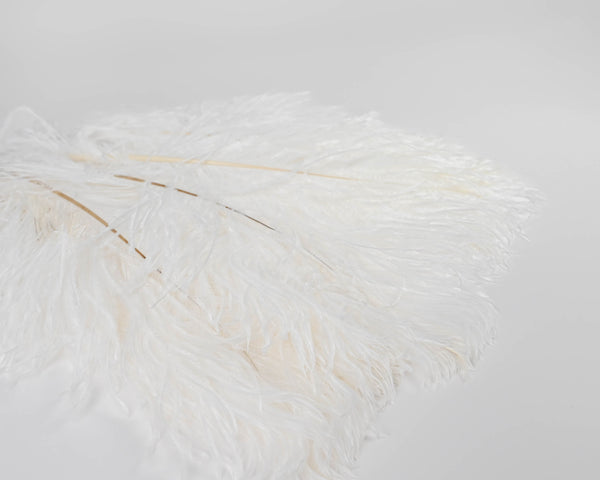 Ostrich Feathers - White Wing Plumes | 12 Bunches | Color Options Available