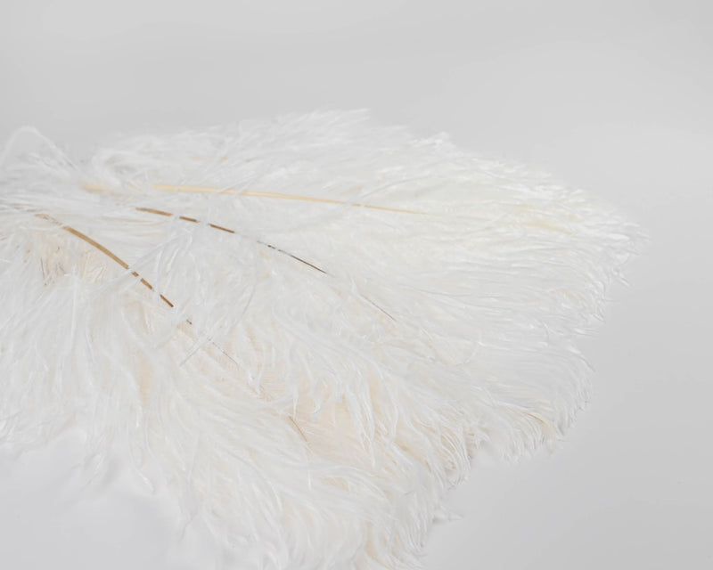 Ostrich Feathers - White Wing Plumes | 12 Bunches | Color Options Available