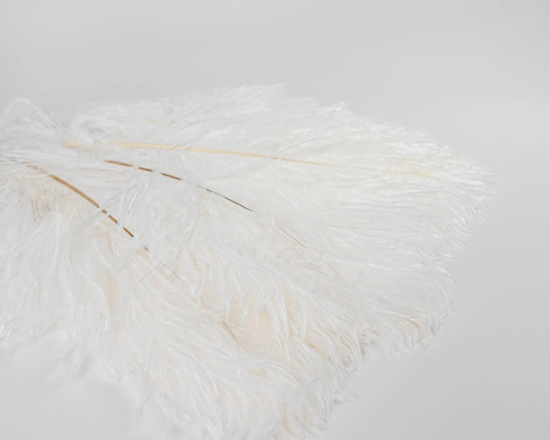 Ostrich Feathers - White Wing Plumes